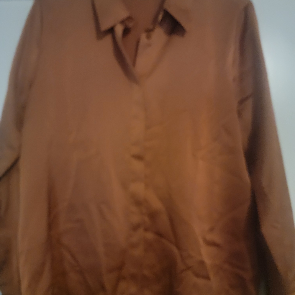 Ann Taylor Factory Silky Brown Blouse
